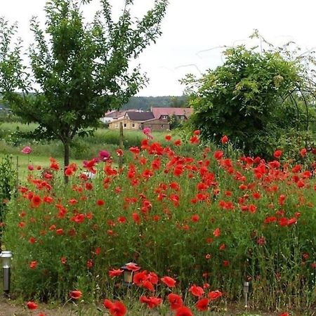 Ruhige Fewo Im Gruenen Mit Balkon, Terrasse Und Grossem Garten Apartamento Sehlen Exterior foto