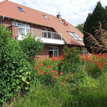 Ruhige Fewo Im Gruenen Mit Balkon, Terrasse Und Grossem Garten Apartamento Sehlen Exterior foto