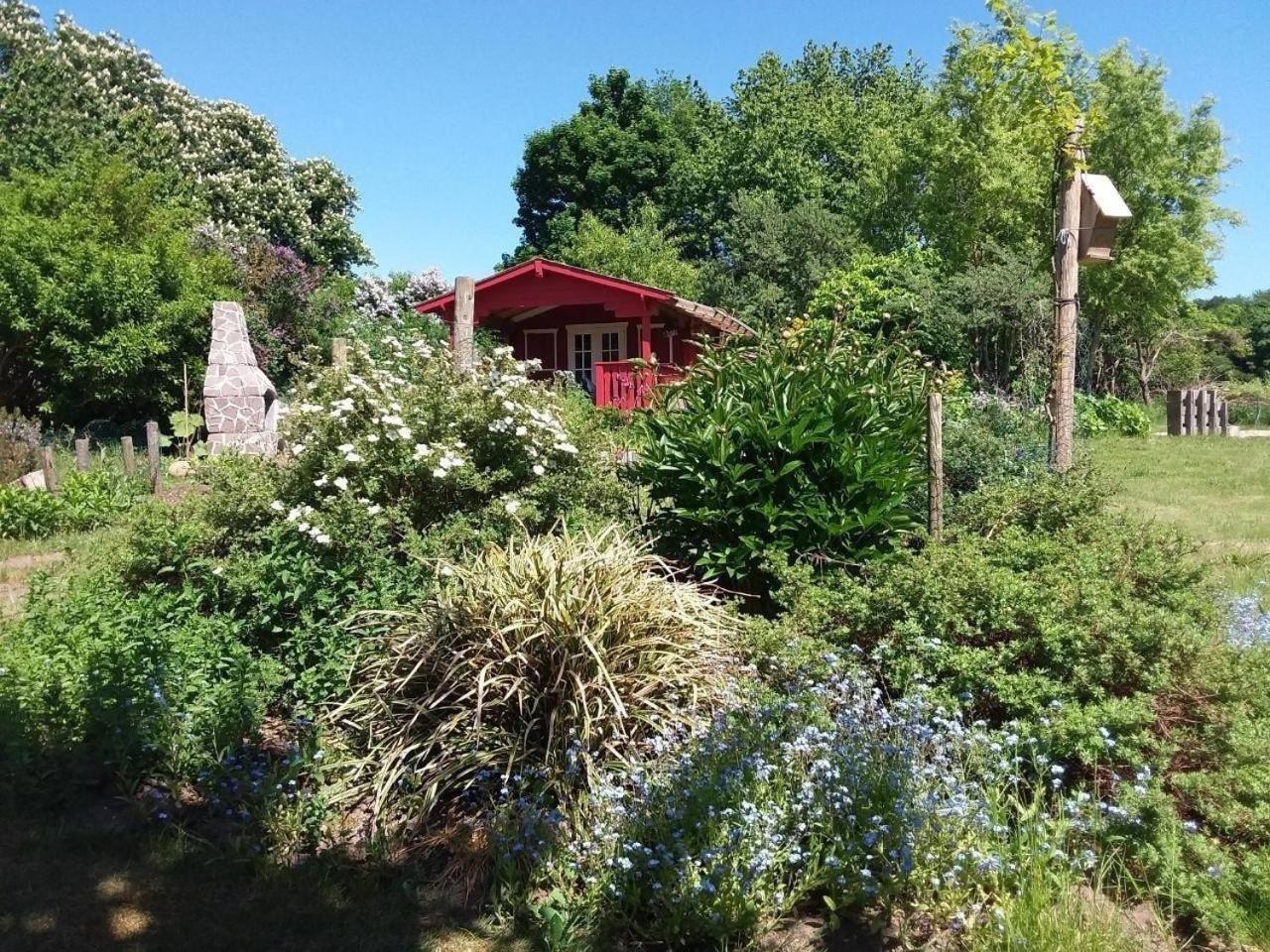 Ruhige Fewo Im Gruenen Mit Balkon, Terrasse Und Grossem Garten Apartamento Sehlen Exterior foto